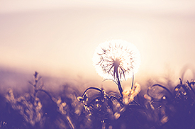 sample_1